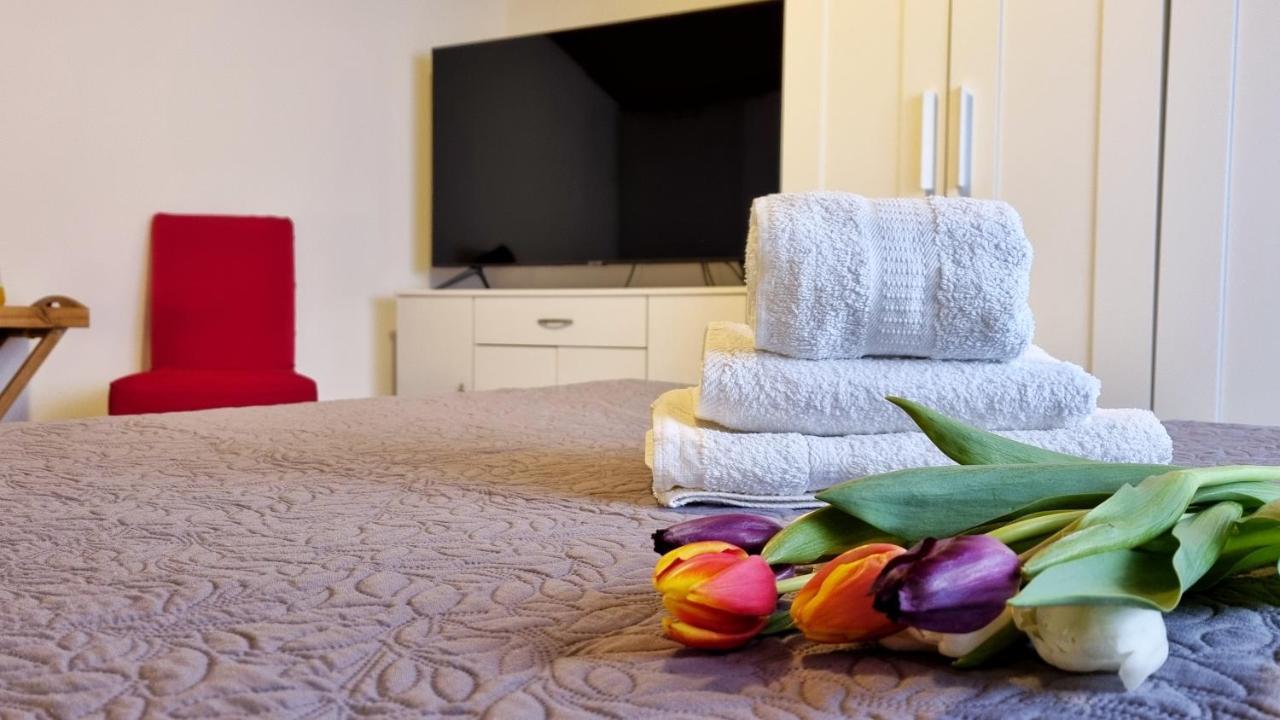 Apartment Stradun In The Heart Of Old City Dubrovnik Exteriör bild