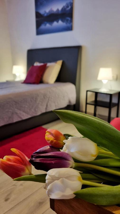 Apartment Stradun In The Heart Of Old City Dubrovnik Exteriör bild